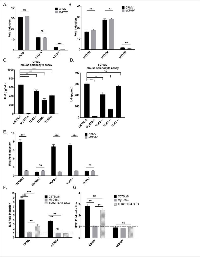 Fig 2.