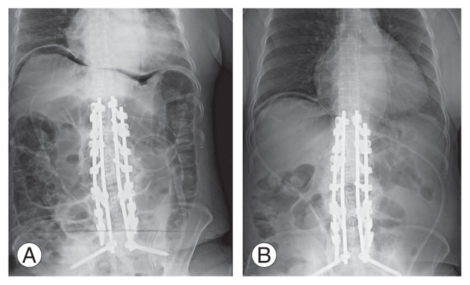 Fig. 5