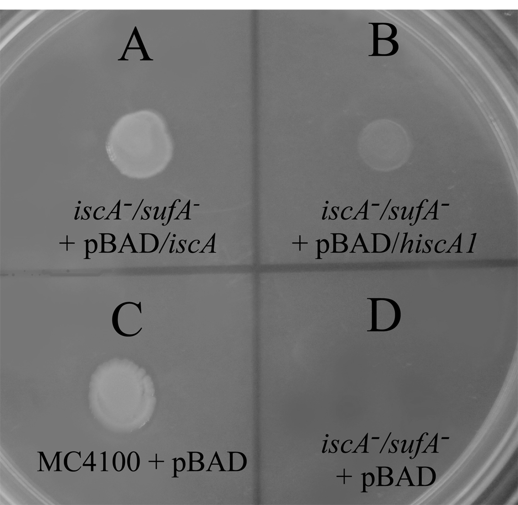 Figure 5