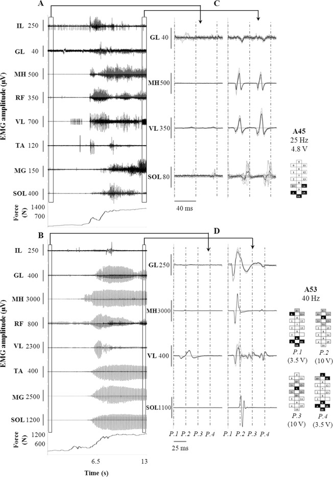 Fig 2