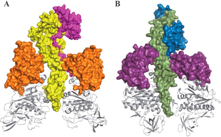 FIGURE 1.