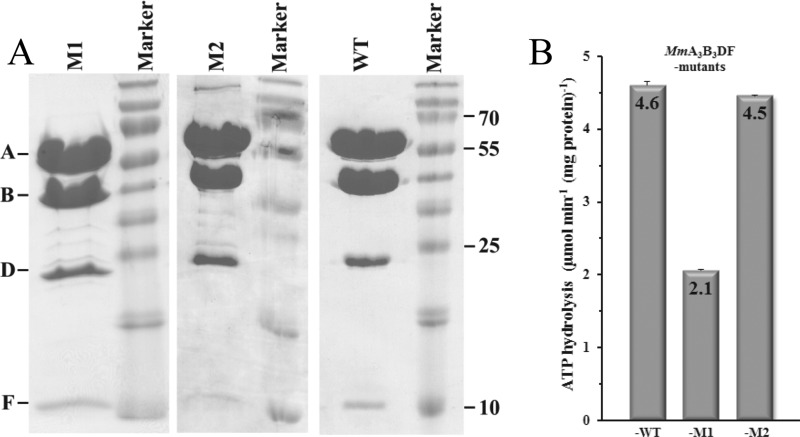 FIGURE 3.