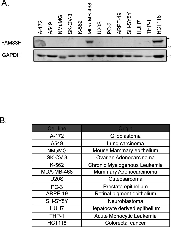 Figure S6.