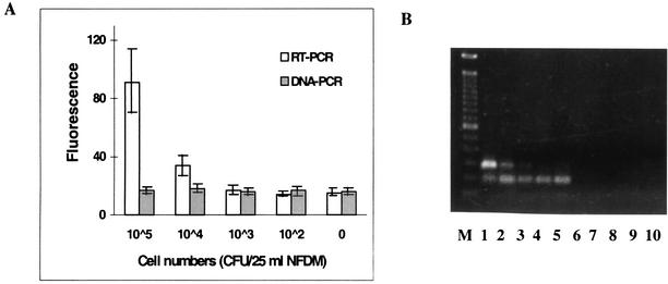 FIG. 5.