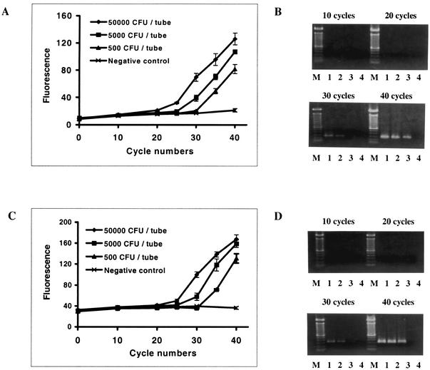 FIG. 3.