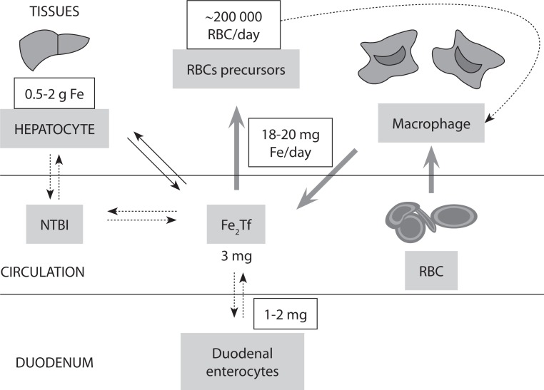 Figure 1.