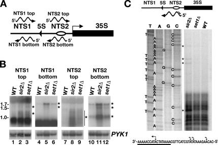 Figure 6.