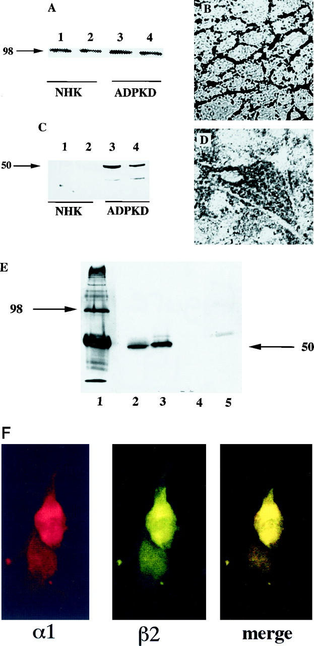 Figure 13.