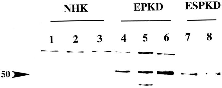 Figure 9.