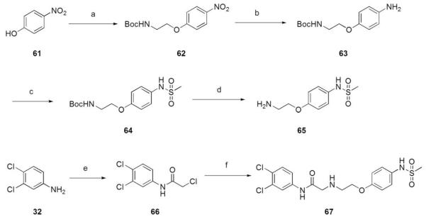 Scheme 5