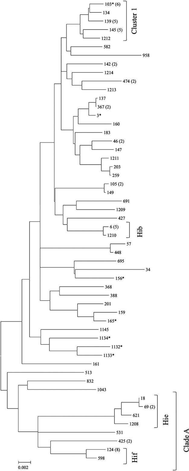 Fig 1