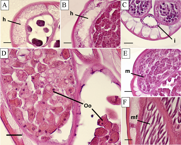 Fig. 2