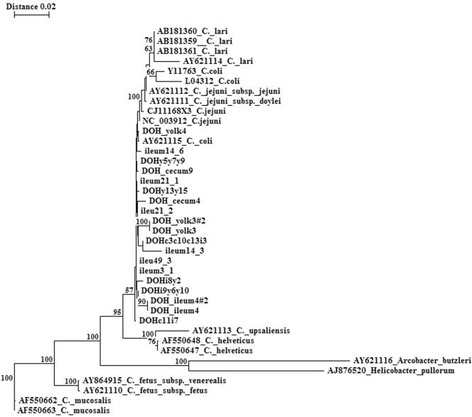 FIG. 3.