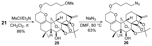 Scheme 5