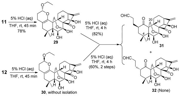 Scheme 7