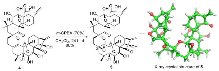 Scheme 2