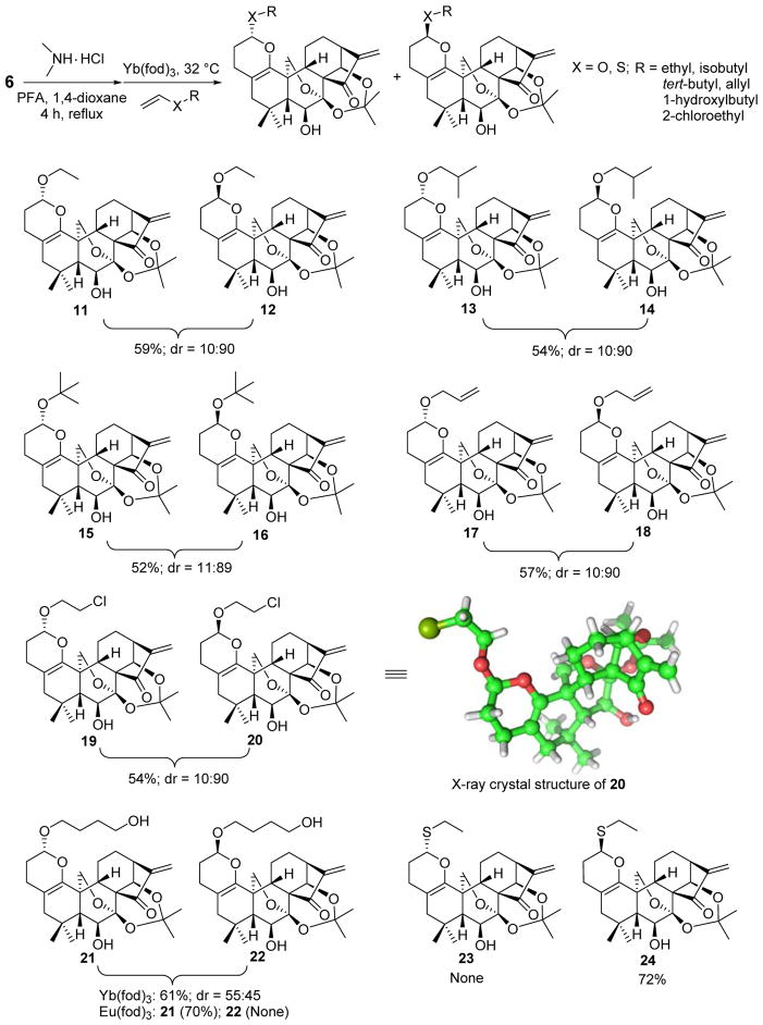 Scheme 4