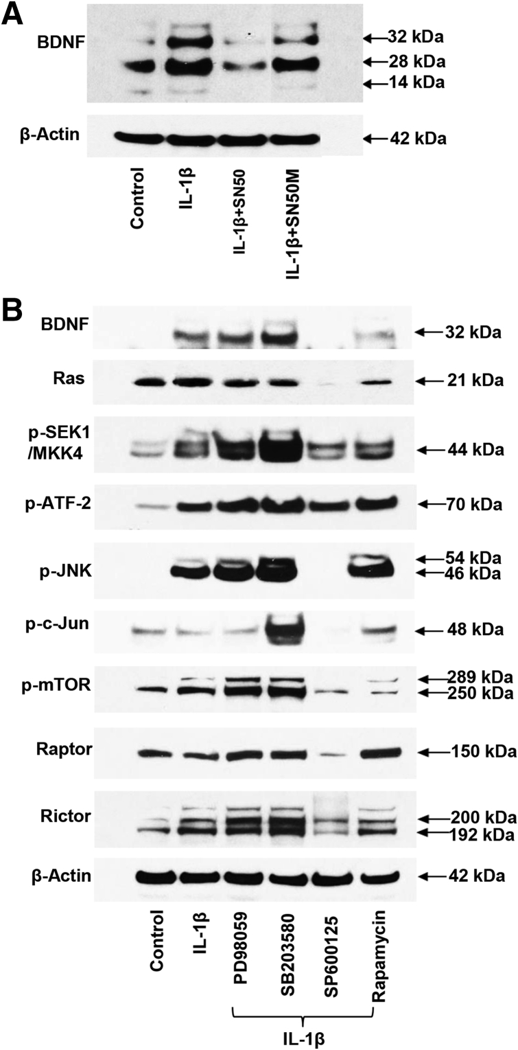 Figure 6