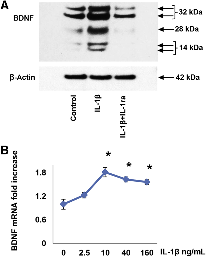 Figure 4