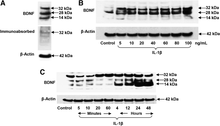 Figure 3