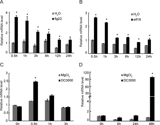 Figure 6