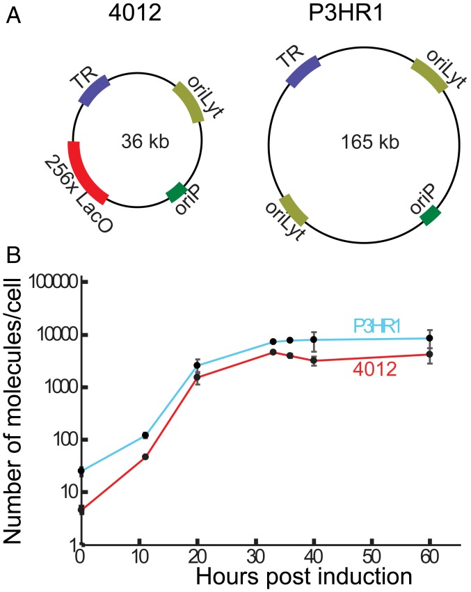 Fig. 1.