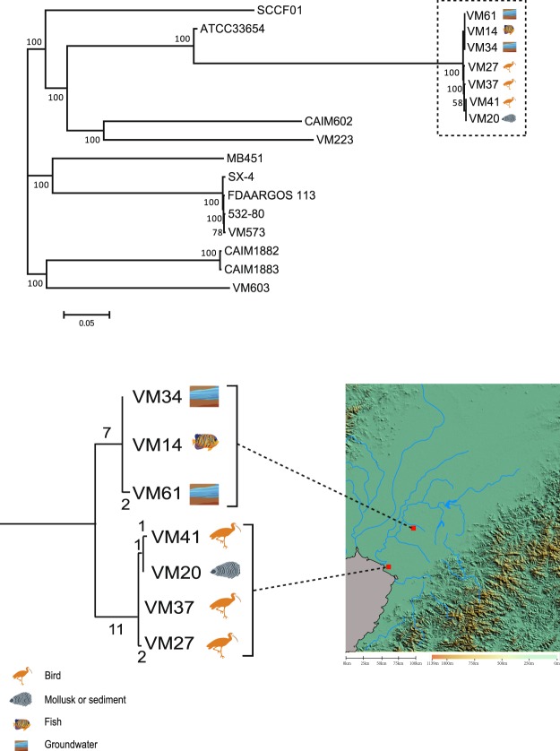 Figure 4