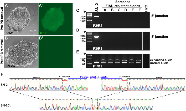 Figure 4