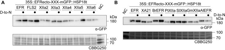 Figure 5—figure supplement 2.