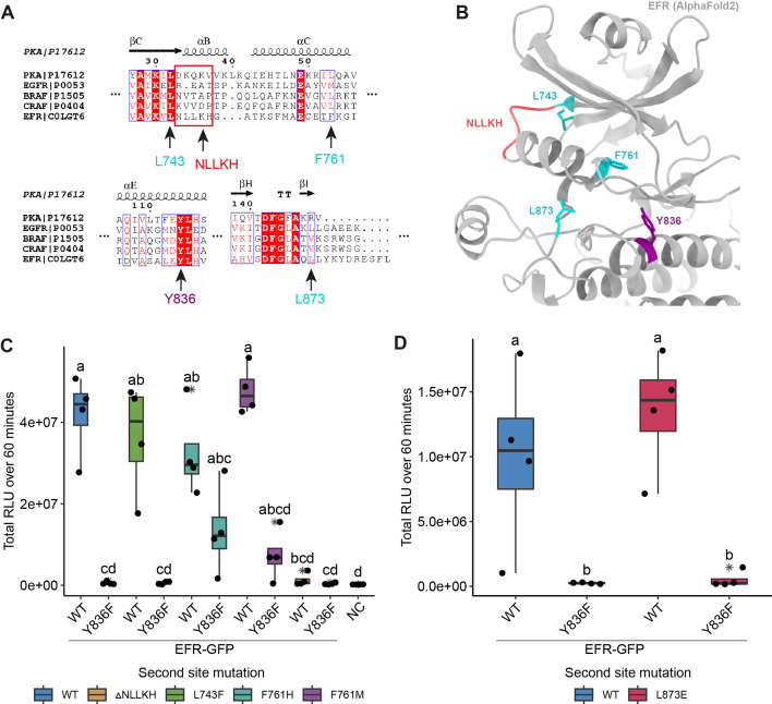 Figure 2—figure supplement 2.