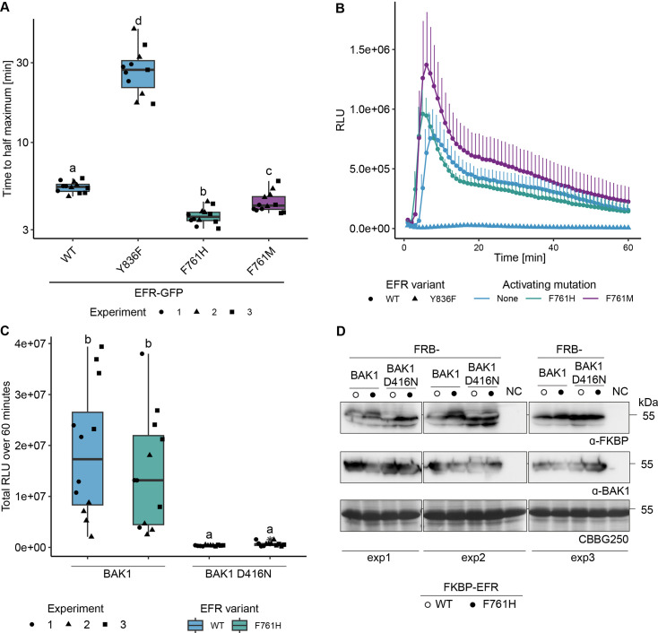 Figure 4—figure supplement 2.