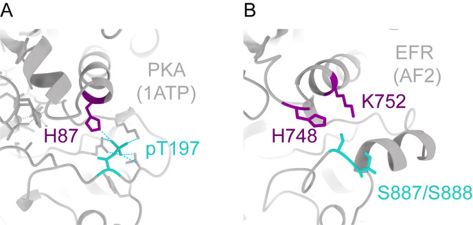 Figure 2—figure supplement 3.