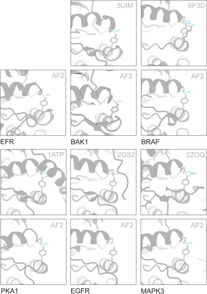 Figure 2—figure supplement 1.