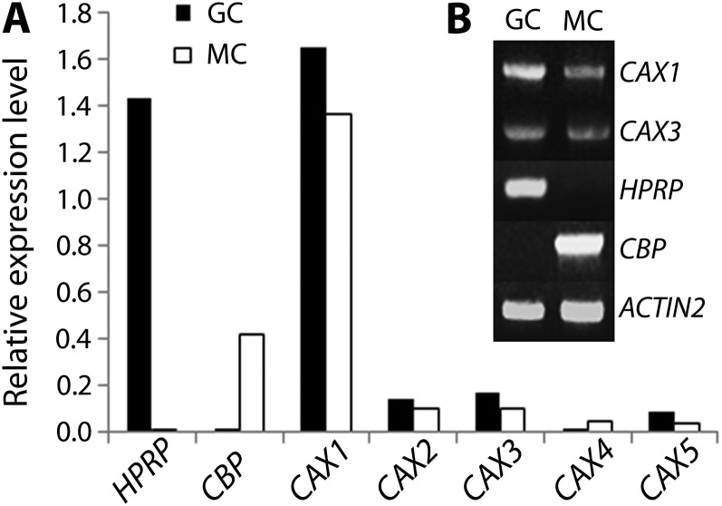 Figure 1.