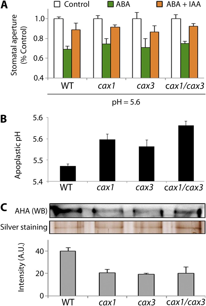 Figure 4.