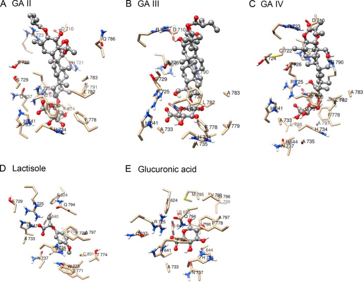 FIGURE 10.