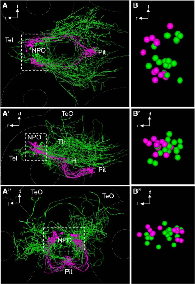 Figure 10.