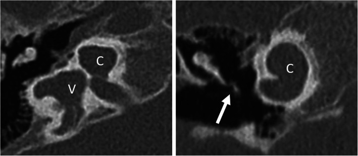 Fig. 8