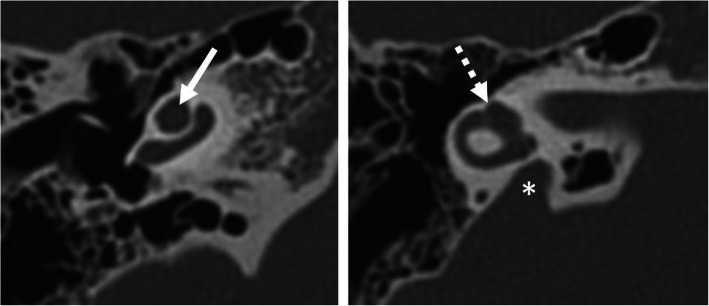 Fig. 9