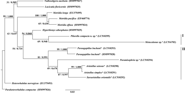 Figure 5.