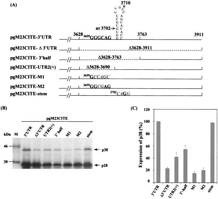 FIG. 6.