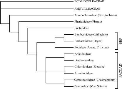 Figure 2.—