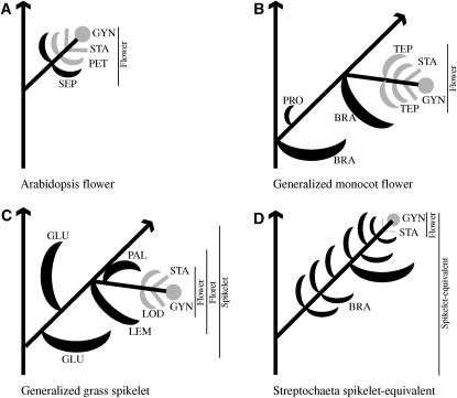 Figure 1.—