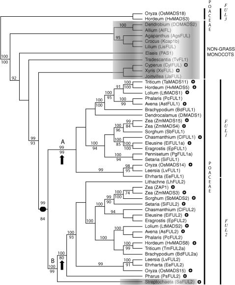 Figure 3.—
