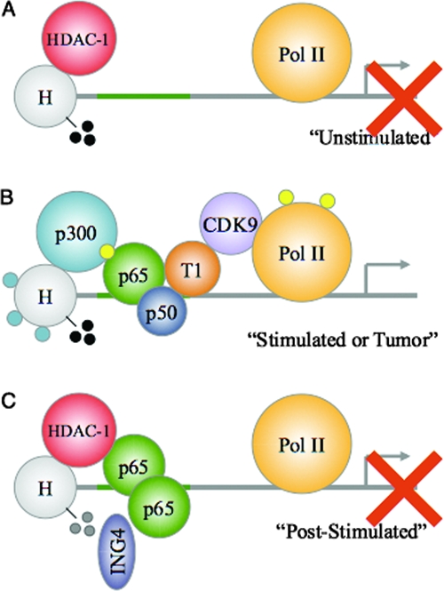 FIG. 6.