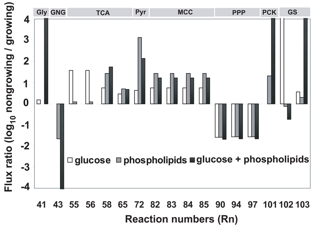 Fig. 4