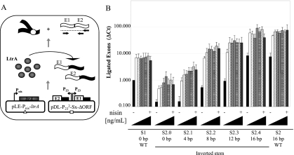 FIGURE 7.