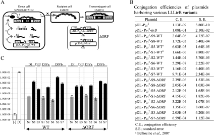 FIGURE 2.