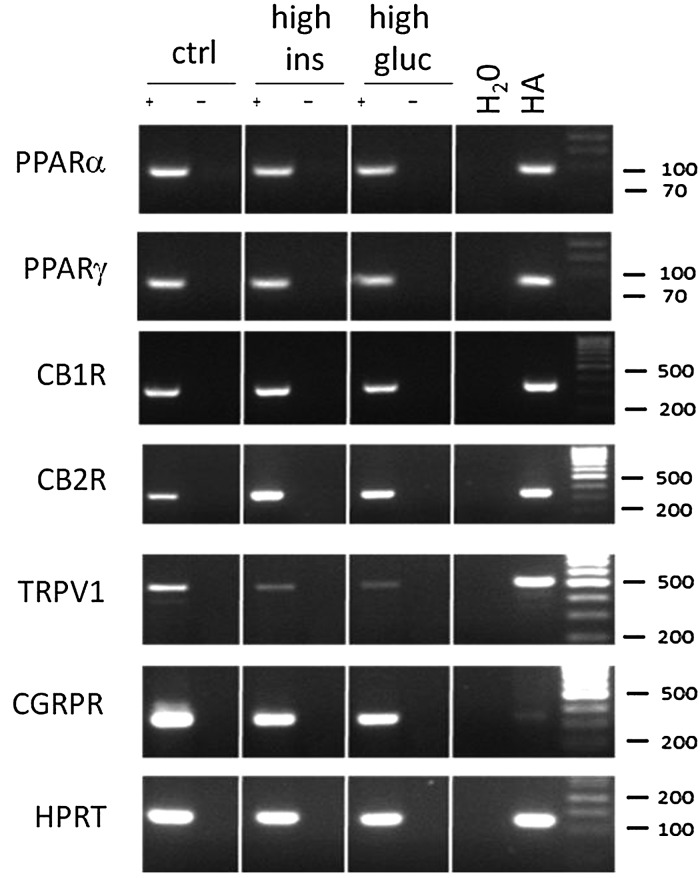 Figure 7