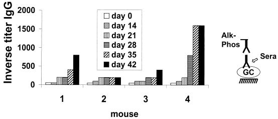 FIG. 1.